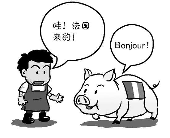 法語入門課
