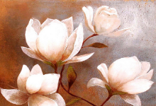 與花為鄰，創(chuàng)造我的繪畫(huà)夢(mèng)想